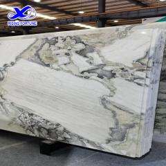 Italian Picasso Marble Slab Tiles For Wall Floor