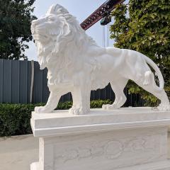 marble lion statues