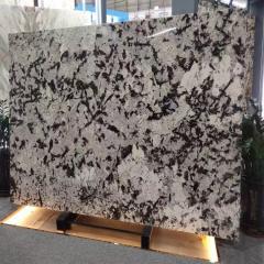 Wholesale Lucury Marble Slab for Home Decoration